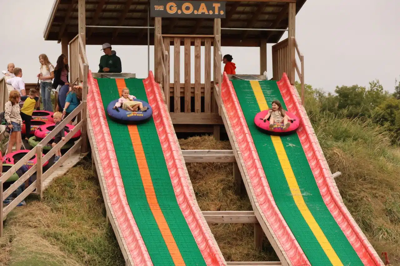 Smiling kids going down the slides.